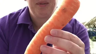 BSL sign carrot