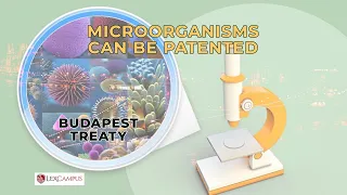 Microorganisms - Can be Patented