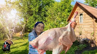 COOKING HUGE TURKEY IN TANDOOR! | Rural Life Azerbaijan