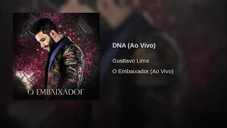 Gusttavo Lima Dvd novo 2019  -  DNA ( ao vivo)