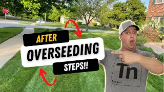 Follow THESE steps AFTER overseeding your lawn!