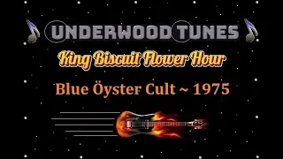 Blue Öyster Cult ~ King Biscuit Flower Hour ~ 1975 ~ Four Song Set