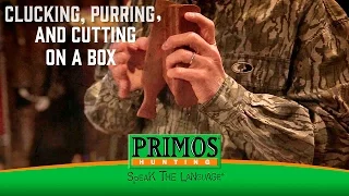 Learn How to Cluck, Purr, and Cut on a Box Call