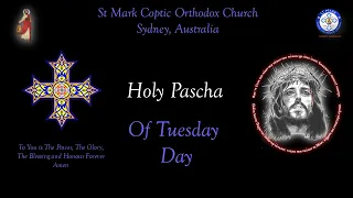 Holy Pascha Of Tuesday 30/04/2024
