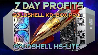 Goldshell KD-Box PRO And HS-LITE 7 Day Profits | Perfect Home Miners