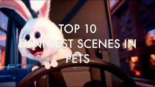 TOP 10 FUNNIEST SCENES IN THE SECRET LIFE OF PETS