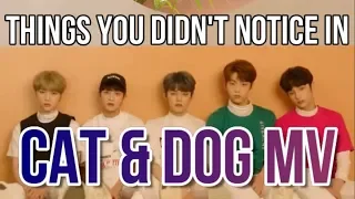 TXT | Things You Didn't Notice In CAT & DOG MV