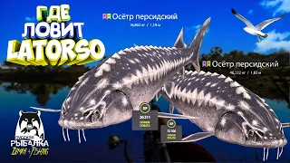 Русская рыбалка 4.🎣🦈 р. Ахтуба🐬🐬 💦 ГДЕ ЛОВИТ LATORSO 👀