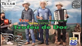 Troféu de Dor - TRIO CORAÇÃO DA PÁTRIA (Vídeo Extraído da Live)