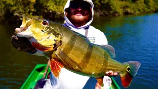 Huge Amazon Peacock Bass BREAKS my Rod!! (Colombia 2021 Day 1)