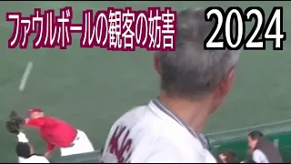 ファウルボールの観客の妨害（2024年4月13日のプロ野球）