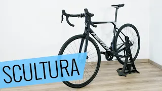 Das MERIDA SCULTURA 6000 2024 im Review - Fahrrad.org