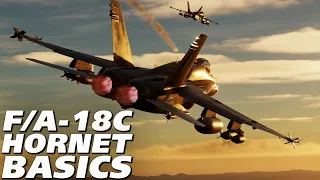 DCS F/A-18C Hornet Basic Training!