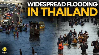 Thailand Flood: Widespread flooding in Thailand's south after heavy rain I WION Originals