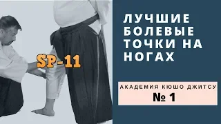 3 лучшие болевые точки на ногах.  SP 11.  Академия Кюшо джитсу № 1