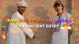 Egypt's Magic Mushroom Temple 🍄 🌈 🇪🇬