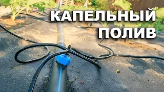 Капельный полив. Собираем за один день.