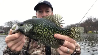 Crappie Beatdown