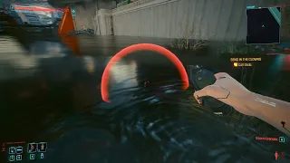 They finally fixed the water physics in Cyberpunk 2077