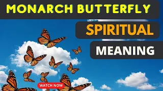 Monarch Butterfly Spiritual Meaning