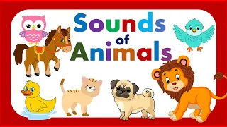 Animal Names and Sounds | Different Animals