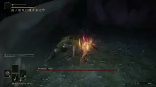 Bloodhound Knight True SL1 (No Hit)