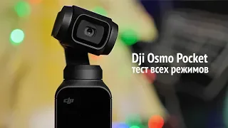 Dji Osmo Pocket - обзор миниатюрной камеры