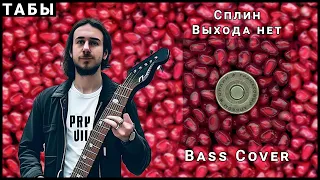 Сплин - Выхода Нет (Bass Cover + Табы)