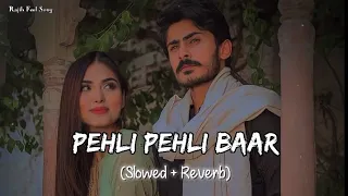 🎧Slowed and Reverb Songs | Pehli Pehli Baar Mohabbat Ki Hai | RAJIB 801