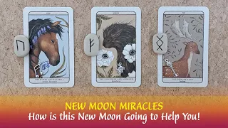 New Moon Miracles🌙🐦‍⬛✨How is This New moon Going to Help You? 🌙🐦‍⬛✨