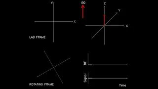 MRI: Physics and Image Creation - Rotating Coordinate System (Part 5/18)