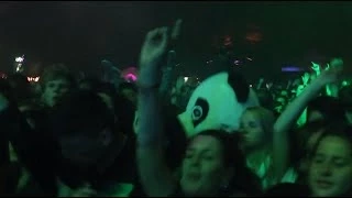 A wild panda in the crowd at We Love Green 2014