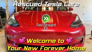 Rescued Tesla Care