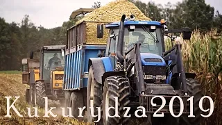 Kukurydza 2019 w GR.Wołynek! l Claas Jaguar 870.