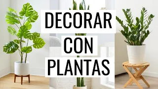 ✅ Las 10 mejores PLANTAS DE INTERIOR PARA DECORAR tu hogar 🌿 (PURIFICAN AIRE) + CUIDADO