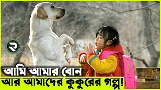 আমি আমার বোন আর আমাদের কুকুরের গল্প !!  explanation In Bangla| Random Video Channel