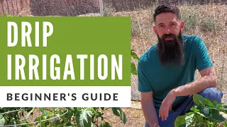 Installing Drip Irrigation in Vegetable Garden | A Beginners Guide to Drip Irrigation