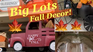 🍁 Big Lots Fall Decor 🍁| Home Decor 2023 | #vlog #fall #falldecor