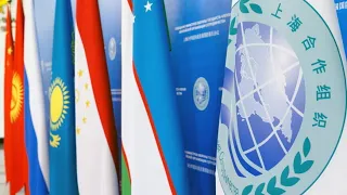 Саммит глав правительств ШОС стартовал в Бишкеке
