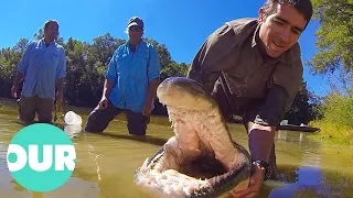 The Search for World's Biggest and Baddest Animals