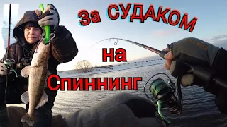 Джиг зимой | Ловля Судака с берега | Размер и Цвет Приманки #fishing #рыбалка #спиннинг #судак #джиг