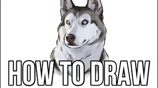 How To Draw a Siberian Husky 🐶🎨