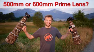 Comparing used Supertele Lenses: Which one is right for you? EF 500/4 vs EF 600/4