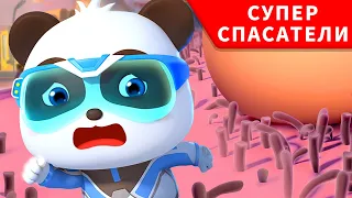 Помочь раненому Геккону | Суперспасатели | Малыш панда | Kids cartoon | BabyBus