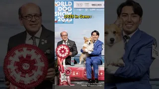 Dalbong from the Philippines Wins Best of Breed Title - 2023 👏 #dogs