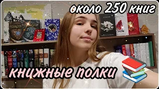 Книжные полки / Все мои книги / Как изменились мои полки за год? / HotBook