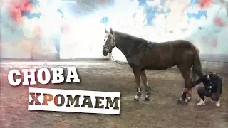 СНОВА ХРОМАЕМ | Прощай спорт? | Выездка | Конный влог 4