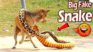 Big Fake Snake vs Prank Dog Sleeping So Funny - New Video Prank Dog 2021 Try To Stop Laugh