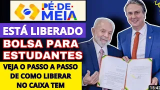 LIBEROU TUDO! PÉ DE MEIA para QUEM RECEBE BOLSA FAMÍLIA PASSO A PASSO DE COMO LIBERAR NO CAIXA TEM