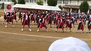 Elementary school sports day in Japan  2023  undokai